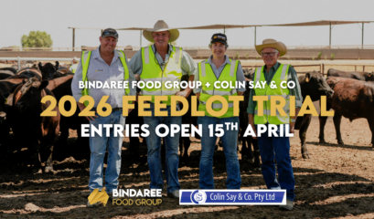 Social Post Feedlot Trial (2026) V3