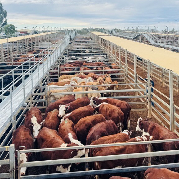 Market Update — July 2026