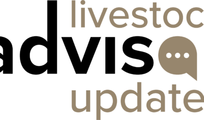 Image — New Crush Side Technology And Breeding Insights From Mla's Livestock Advisors Workshop