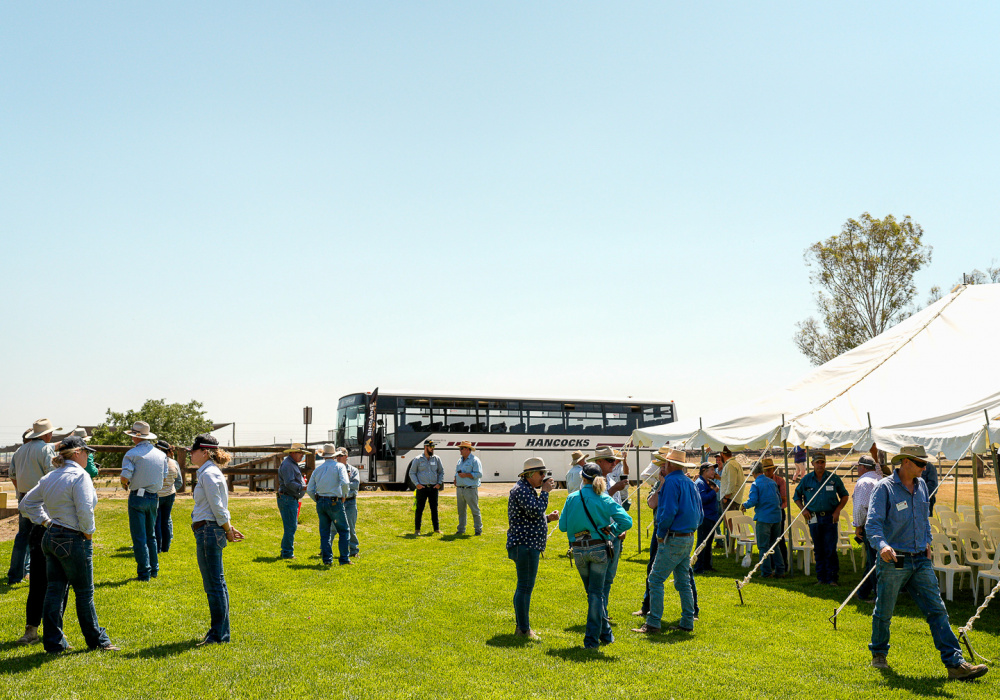 Feedlot Open Day 2025